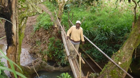 Cameroon-boxes Cameroon-boxes